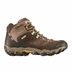 Oboz Footwear Men's Bridger Mid B-DRY