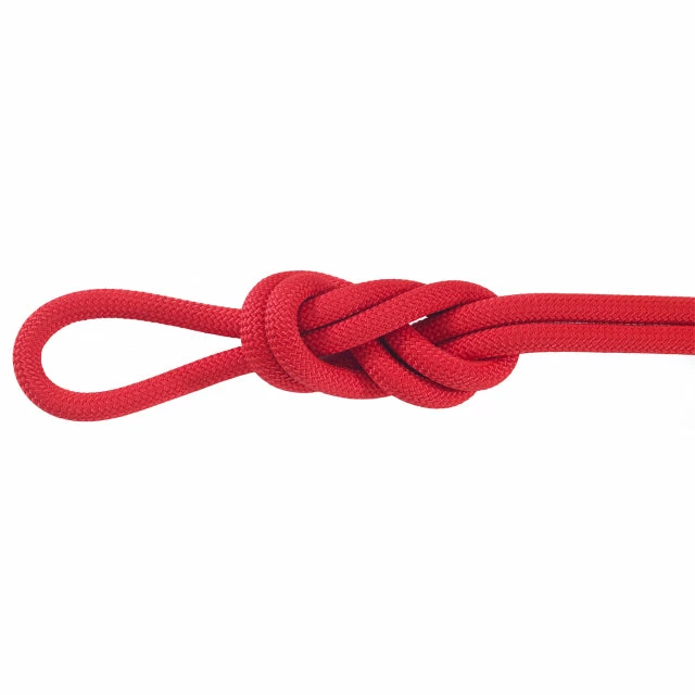 Maxim Ropes Outdoor Gear Gym Rat