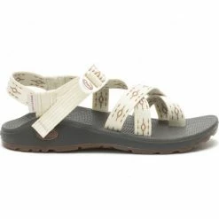 Chaco Women's Zcloud 2