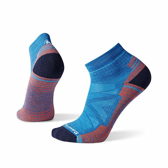Smartwool Socks & Insoles Hike Light Cushion Ankle Socks