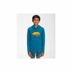 The North Face Boys' Camp Fleece Pullover Hoodie Jackets